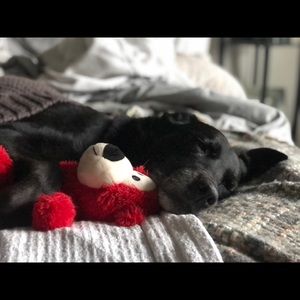 Meet your Posher, Courtney